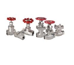 1 in. Stainless Steel NPT Swing Check Valve