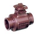 3 in. Ductile Iron Reduced Port Grooved 1000# Ball Valve