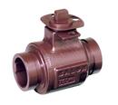 Balon Corporation Ductile Iron Reduced Port Grooved 1000# Ball Valve 
