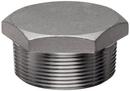 1/2 in. Threaded 3000# Global Hex 304L Stainless Steel Plug