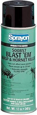 12 oz. Wasp & Hornet Killer