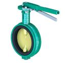 Demco Ductile Iron Wafer Buna-N 10 Position Locking Lever Handle Butterfly Valve 