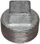 1/4 in. MPT 150# Global Galvanized Malleable Iron Solid Plug