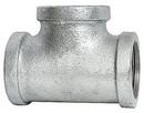 FPT 150# Global Galvanized Malleable Iron Tee 