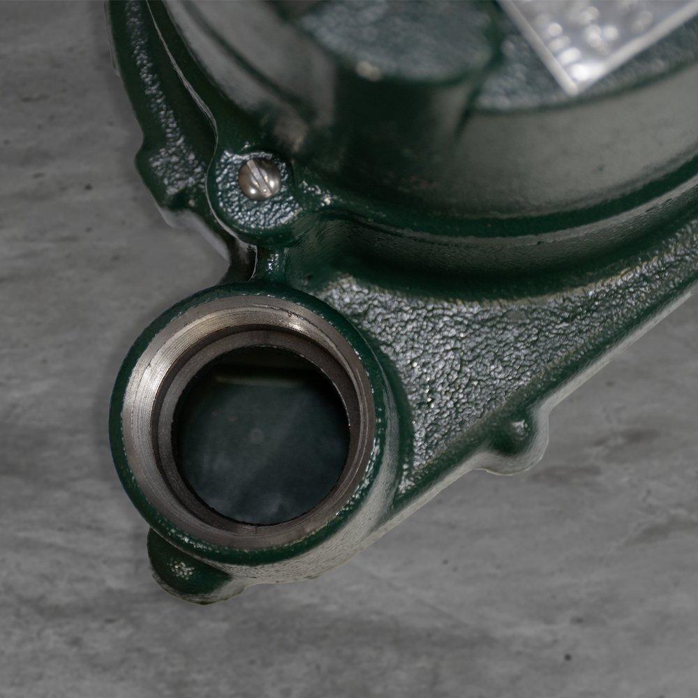 Zoeller Pump Co 115V Cast Iron Effluent Pump 