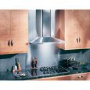 30 in. Stainless Steel Hood with Blower