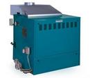 Commercial Gas Boiler 858 MBH Propane and Natural Gas