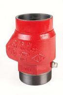 4 in. Ductile Iron MNPT x Grooved Check Valve