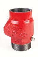 United Brass Works Ductile Iron MNPT x Grooved Check Valve 