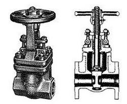 1 in. Cast Stainless Steel NPT Gate Valve