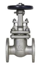 1/2 in. 150# RF FLG CF8M T10 Gate Valve PTFE Packing, API-603, Stainless Steel 316 Body, Trim 10, Bolted Bonnet