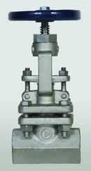 William Powell Co Threaded Stainless Steel Rising Valve Stem Globe Valve 