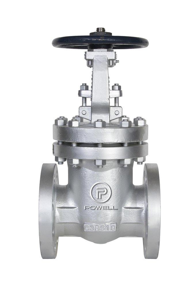 William Powell Co 300# RF FLG WCB T8 Gate Valve Carbon Steel Body, Trim 8, Bolted Bonnet 