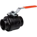 2 in. Ductile Iron Standard Port Grooved Ball Valve