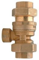 1/2 in. FNPT Dual Check Valve