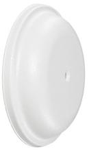 Sioux Chief White Cleanout 