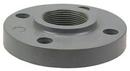 Grey FIPT Schedule 80 Webb CPVC Flange 