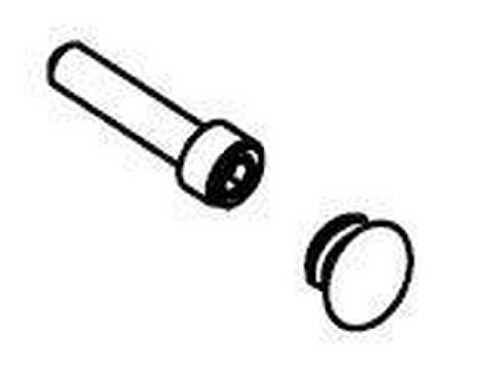 Moen Polished Chrome Plug Button & Screw Set 