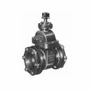 Mueller Company Cast Iron Mechanical Joint Gate Valve 