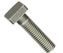 4 x 3/4 in. Stainless Steel T-Head Bolt and Nut