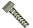 3/4 in. Stainless Steel T-Head Bolt and Nut 