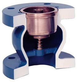 3 in. Cast Iron Flanged Check Valve