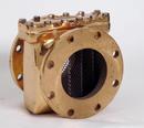 6 in. Flanged Bronze Strainer for Meter