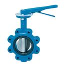 6 in. Iron EPDM Lever Handle Butterfly Valve