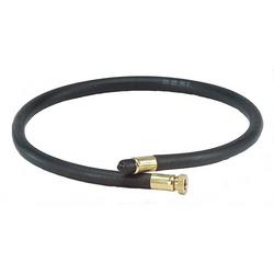 100 psi 2 ft. Hose Extension