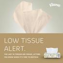 Kimberly Clark White Facial Tissue in White 
