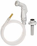 Pfister Polished Chrome Side Spray and Sub Assembly with Mounting 