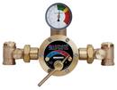 Leonard Valve Emergency Water Tub and Shower Mixing Valve in Rubbed Bronze 