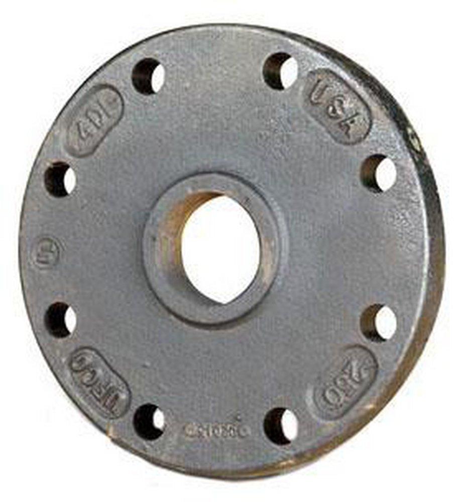 1-1/2 in. IPT 125# Ductile Iron C110 Full Body Tap on Pipe Blind Flange 
