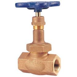 2-1/2 in. Bronze FNPT Globe Valve