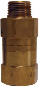 Dixon Valve & Coupling Brass MNPT x FNPT Check Valve 