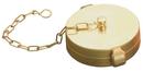 Dixon Valve & Coupling NST Brass Pin Lug Cap with Chain 