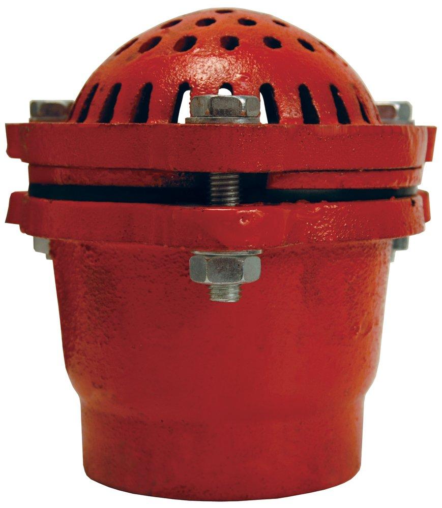 Dixon Valve & Coupling Cast Iron FNPT Foot Valve 