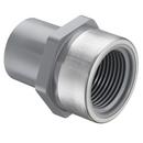 1/2 in. Spigot x SR FPT Schedule 80 CPVC Adapter with Stainless Steel Thread