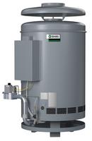 Commercial Gas Boiler 225 MBH Natural Gas