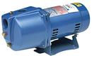 Goulds Water Technology Shallow Well Jet Pump 