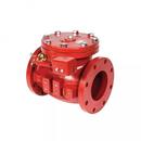 6 in. Epoxy Coated Cast Iron Flanged Check Valve