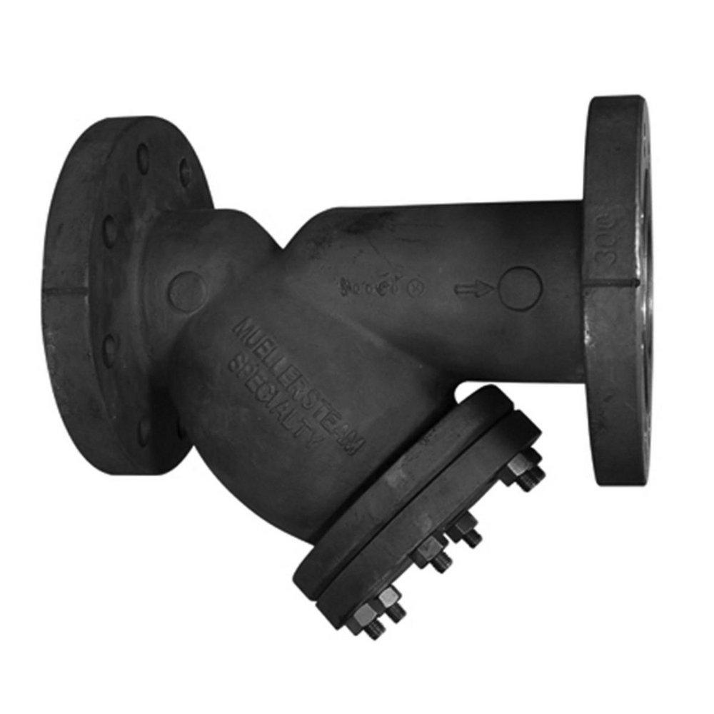 Mueller Steam Specialty Flange Perforated Wye Strainer 