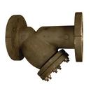 4 in. 300# Carbon Steel Flanged Perforated Wye Strainer