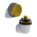 Plastic Push-Pull Drain in Polished Brass