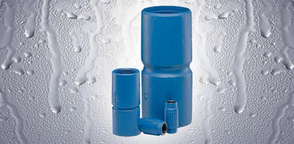 Flomatic Corp Ductile Iron FNPT Check Valve 
