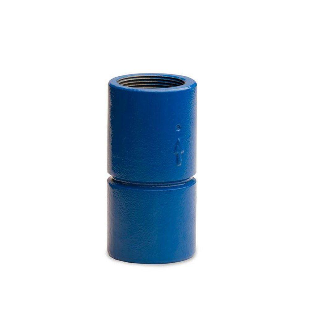 Flomatic Corp Ductile Iron FNPT Check Valve 