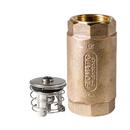 Flomatic Corp Bronze Female Threaded Check Valve 