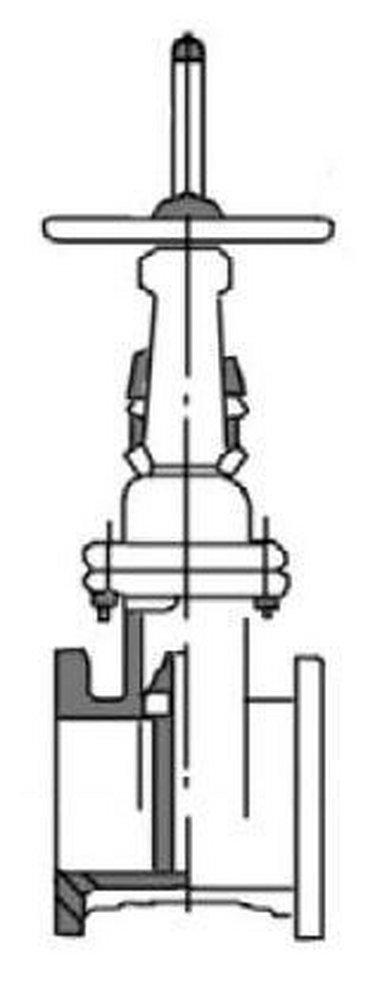 Kennedy Valve Mfg. Flanged Cast Iron OS&Y Resilient Wedge Gate Valve 