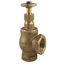 Brass Union Garden Valve 