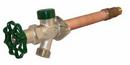 3/4 x 12 in. Brass MPT x Sweat Freezeless Residential Anti-Siphon Wall Hydrant in Satin Nickel
